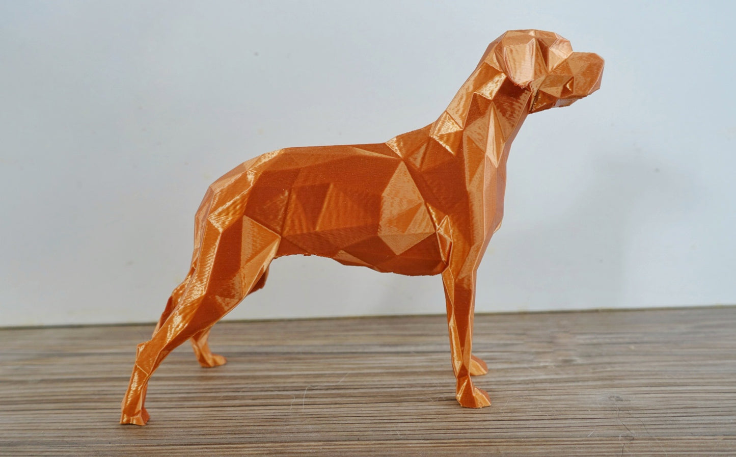 Sporttirottis patsas